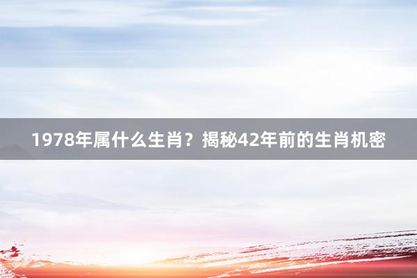 1978年属什么生肖？揭秘42年前的生肖机密