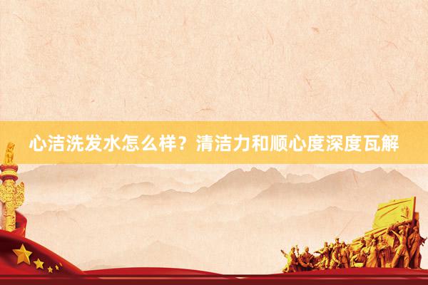 心洁洗发水怎么样？清洁力和顺心度深度瓦解