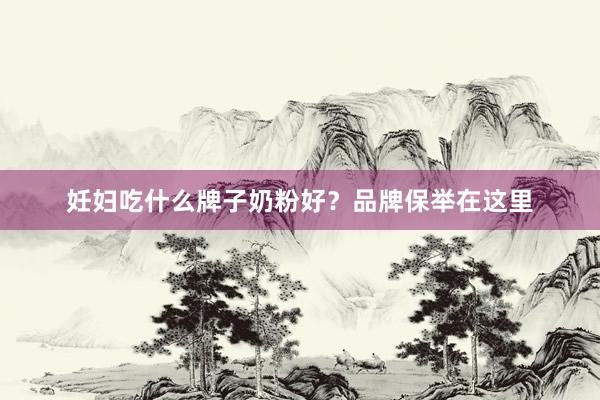 妊妇吃什么牌子奶粉好？品牌保举在这里