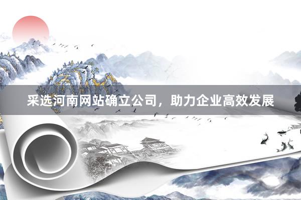 采选河南网站确立公司，助力企业高效发展