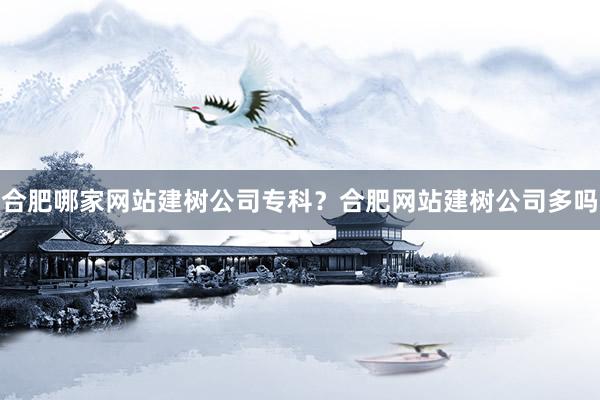 合肥哪家网站建树公司专科？合肥网站建树公司多吗