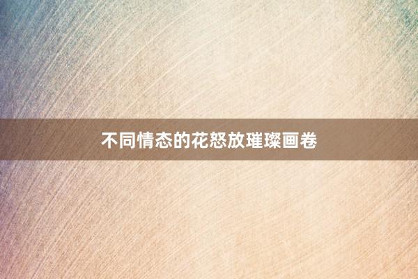 不同情态的花怒放璀璨画卷